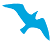 jonathan.gif (1626 bytes)