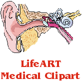 lifelogo.gif (4971 bytes)